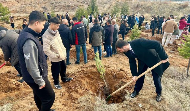 Şefaatli'de Şehitler Hatıra Ormanı Oluşturuldu