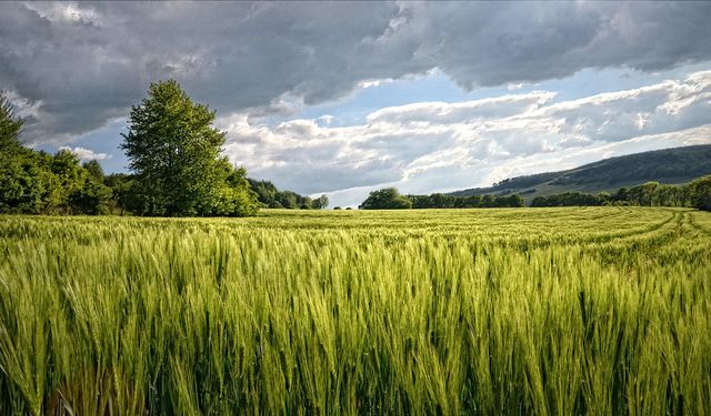 PTT Yozgat'ta Arsa Satacak: Fiyatı Görenler Tarihi Merak Ediyor