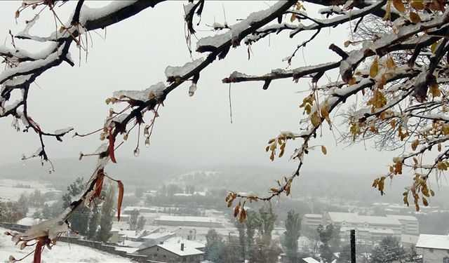 Bu Kış Ilık ve Kurak Geçebilir Ancak Sürpriz Soğuklar da Görülebilir