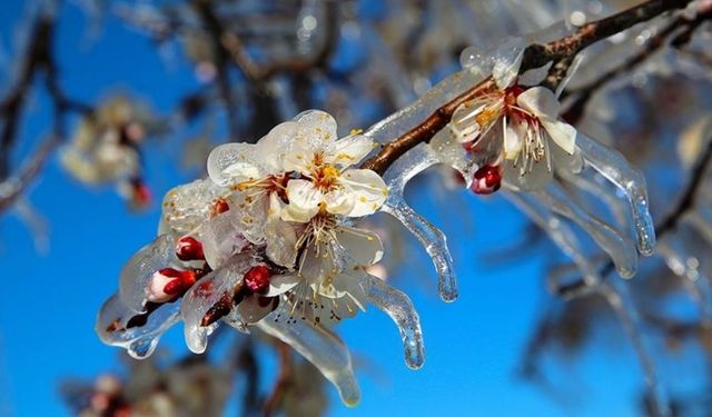 Türkiye'de büyük tehlike kapıda! Fiyatlar bir anda yükselecek
