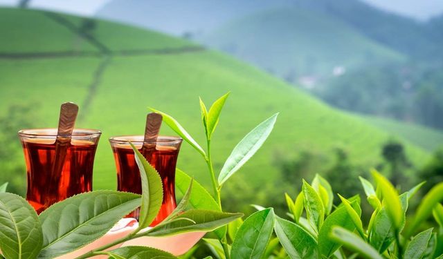 Yıllardır Çay Üretiyordu: Sevilen Marka Üretimi Bırakıyor