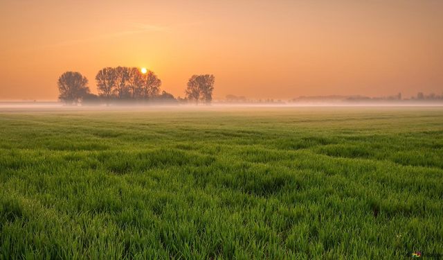 Yozgat'ın Merkezinde İki Tarla Satılacak: İkinci El Araba Fiyatına Yer Sahibi Olmak İsteyenler Dikkat