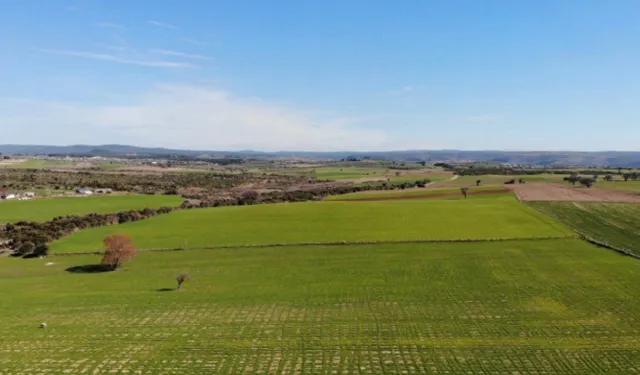 Yozgat'ta araba fiyatına arsa satılacak: Konumu ve fiyatı şaşkınlık yarattı