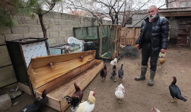 Yozgat’ta Sıra Dışı Üretim Fikri: Tabut Civciv Yuvasına Dönüştü