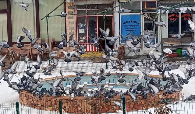 Kış zor geçti, merhamet öne çıktı