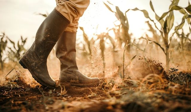 Bakan Yumaklı'dan Çiftçilere Müjde: Tarımsal Destek Ödemeleri Yatacak