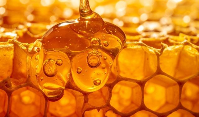 Bu Markalar Çok Tanıdık: Bakanlık Hileli Balları Açıkladı