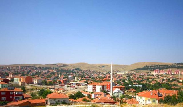 Yozgat'ın Lavanta Üretimi ile Dikkat Çeken İlçesi: Çekerek