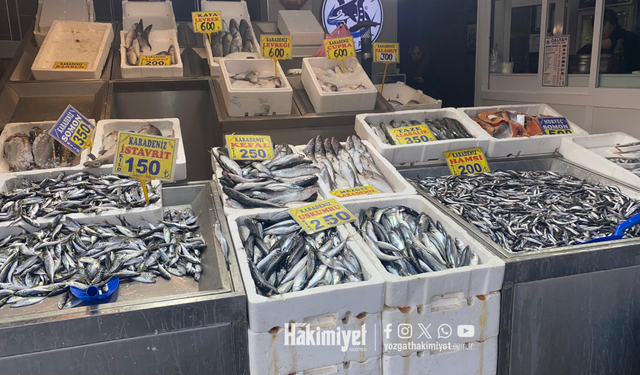 Hamsi Azalırken İstavrit Öne Çıktı: Balık Tezgahlarında Sezonun Tablosu