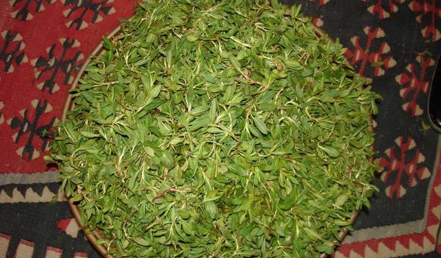 Yozgat'ın Meşhur Yemekleri Arasında Madımak Öne Çıkıyor