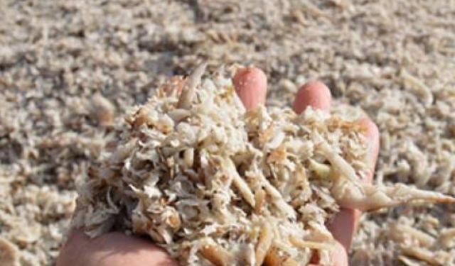 Sorgun’da Çiftçilere Hayati Uyarı: Don Tehlikesine Dikkat!