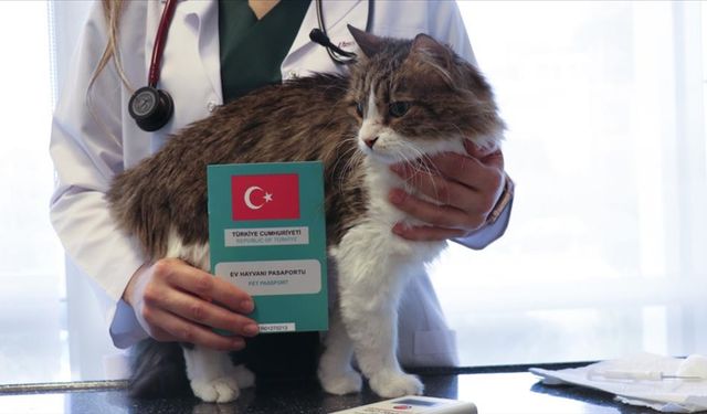 2025’te Sahipli Hayvanlara Uygulanan Mikroçip Verileri Açıklandı