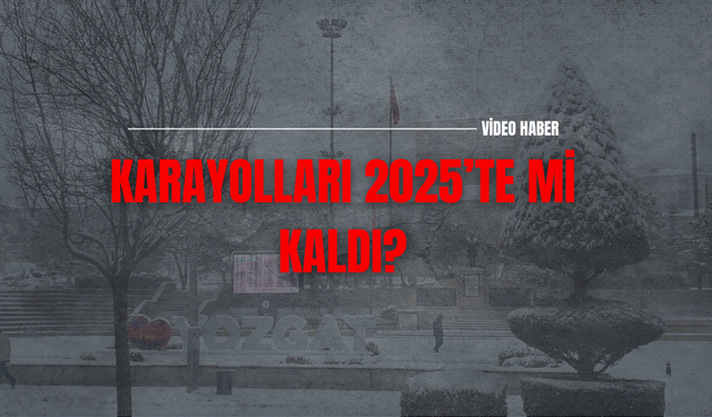 Karayolları 2025’te mi Kaldı?