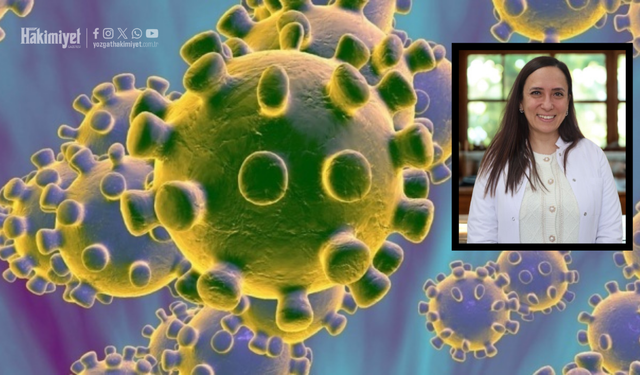 Yeni Virüs Alarmı! Tedavisi Yok: Uzman Dr. Uyarıyor!