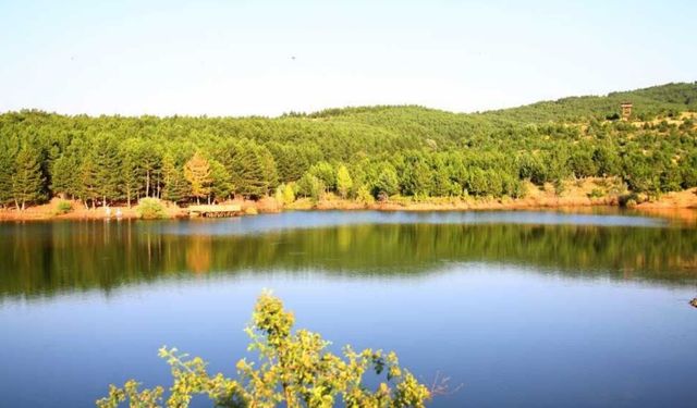 Yozgat’ta Piknik Yapılacak En Güzel Yerler