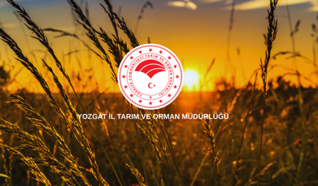 Yozgat’ın Tarım Gücü Masada: Yeni Rehber Yatırım Fırsatlarını İşaret Ediyor