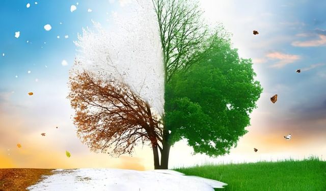 Yozgat İklim Özellikleri: Yazlar Kurak, Kışlar Sert