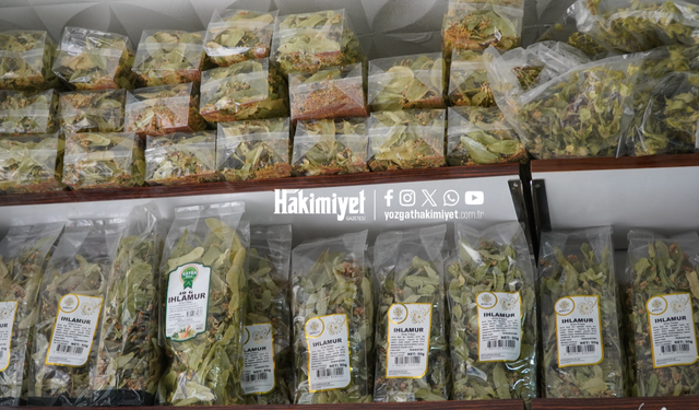 Yozgat'ta Kışın Doğal Kürlere İlgi Arttı, Aktar Hileli Ürünlere Karşı Uyardı