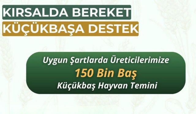 Küçükbaşa Destek Projesinin Detayları Açıklandı!