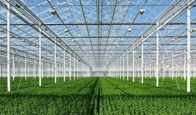 Yerköy'ün Jeotermal Sera OSB Projesi İçin Fizibilite Danışmanlığı Onaylandı