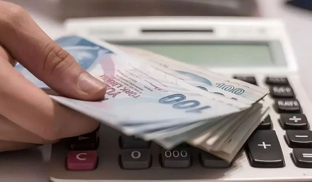 Emekli maaşlarında milli gelir farkı e-Devlet'e ne zaman yansıyacak?