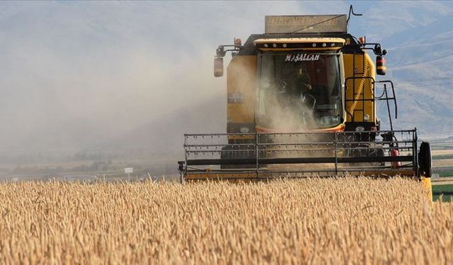 Tarım desteği hesaplara ne zaman yatacak? 2026 tarım desteği ne kadar?