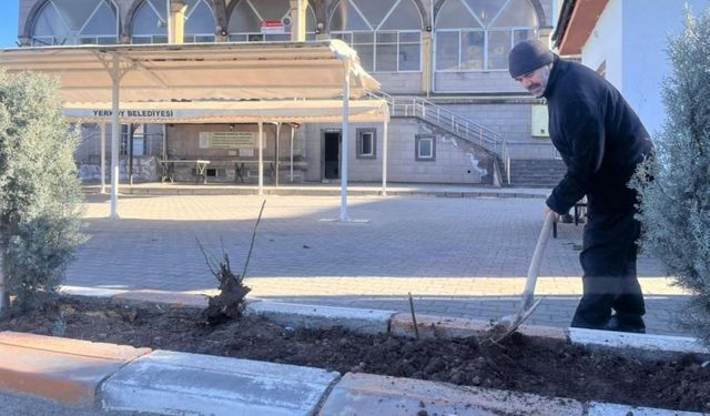 Bayram Hazırlıkları Yozgat'ta Başladı: Cansever İlk Gülü Dikti!