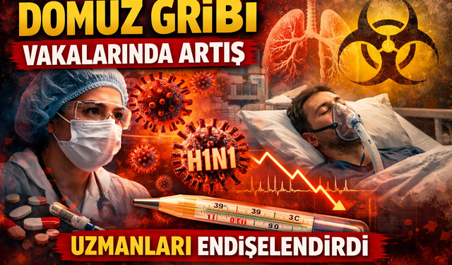 Domuz Gribi Vakalarında Artış Uzmanları Endişelendirdi