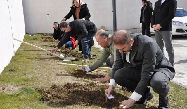 Geleceğe Nefes, Çınarlara Saygı: Yozgat’ta Fidanlar Toprakla Buluştu