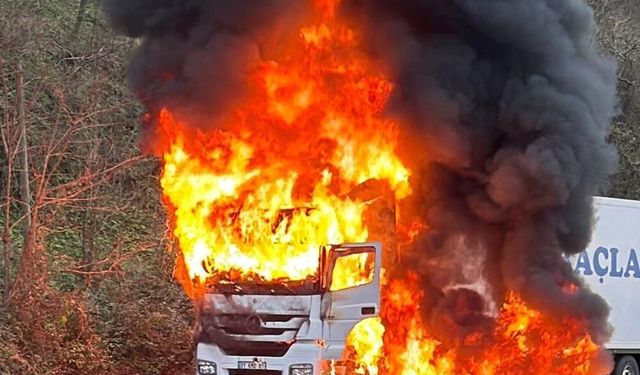 Sürücü Son Anda Kurtuldu: Alevlere Teslim Olan Tır Trafiği Durdurdu