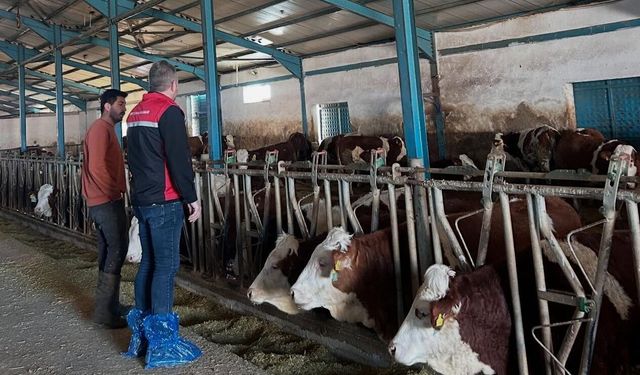 Yozgat'ta Ari İşletmeler Denetleniyor: Bayram Öncesi Önlem Alınıyor