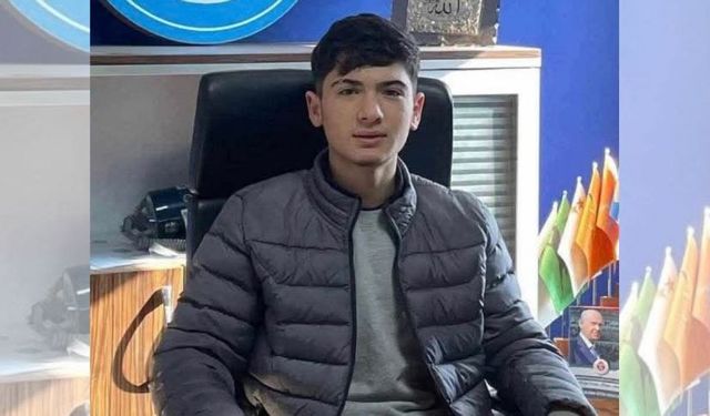 Yozgat'ta Sokak Köpeğinden Kaçan Genç Hayatını Kaybetti