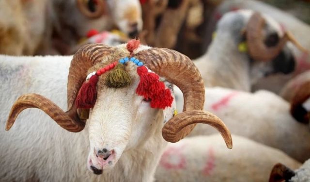 2026 Kurban Bayramı ne zaman, hangi gün? Kurban Bayramı tatili 9 gün olacak mı?