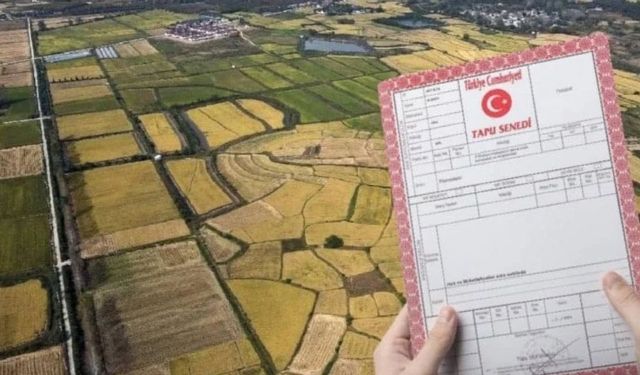 Tarla ve bahçesi olanlar dikkat! Bunu yapan hapse bile girebilir