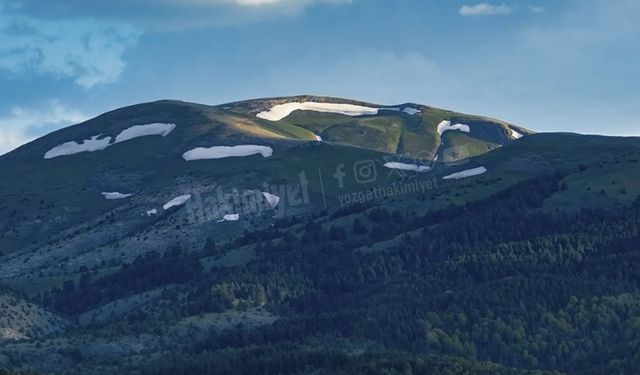 Yozgat'ta Doğa Tutkunları İçin Cennet: Bahar Enerjisi Tüm İlçeye Taştı