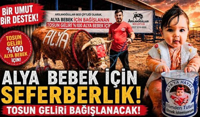 Alya Bebek İçin Seferberlik: Tosun Geliri Bağışlanacak