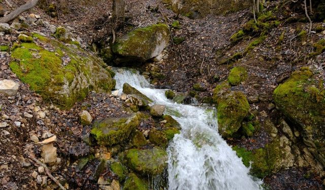 Dağın Ortasından Fışkırıyor: Kaynağı Bulunamıyor