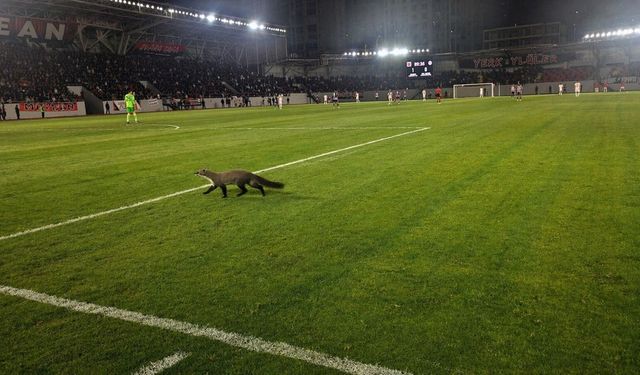 Bozokspor Maçına Sansar Damga Vurdu! Maç Durduruldu