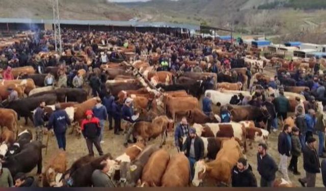 İç Anadolu’nun Kalbi Burada Atıyor: Kadışehri Hayvan Pazarı Gündemde