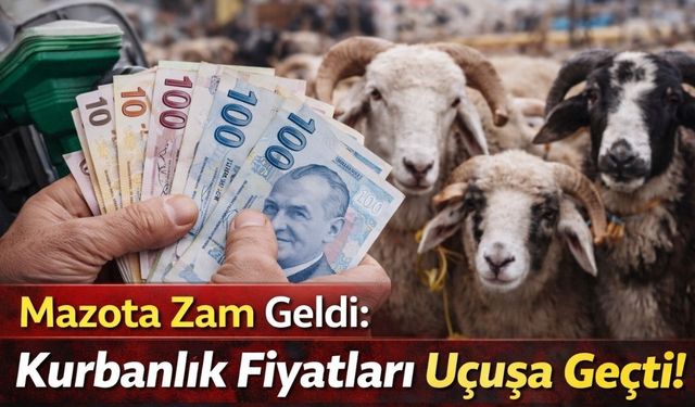 Mazota Zam Geldi: Kurbanlık Fiyatları Uçuşa Geçti!