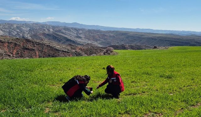 Yerköy’de Tarım Arazileri Mercek Altında