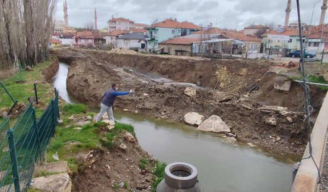 Yozgat İlçelerinde Larvalarla Mücadele Başladı