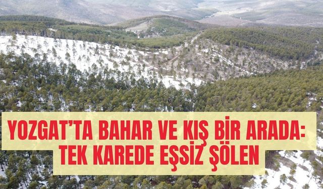 Yozgat’ta Bahar ve Kış Bir Arada: Tek Karede Eşsiz Şölen