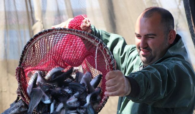 Yozgat’ta Baraj Doluluk Oranı Arttı: Balıkçıların Yüzü Güldü