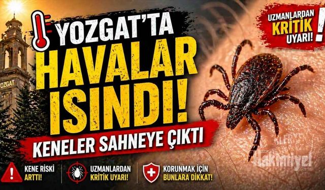 Yozgat'ta Havalar Isındı: Keneler Sahneye Çıktı