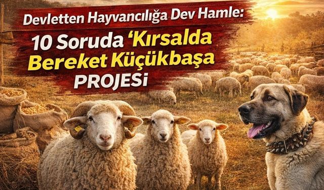 Yozgat'ta Hayvancılara Dev Destek: Başvurular Başladı!