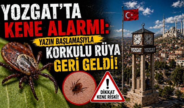 Yozgat’ta Kene Alarmı: Korkulu Rüya Geri Geldi