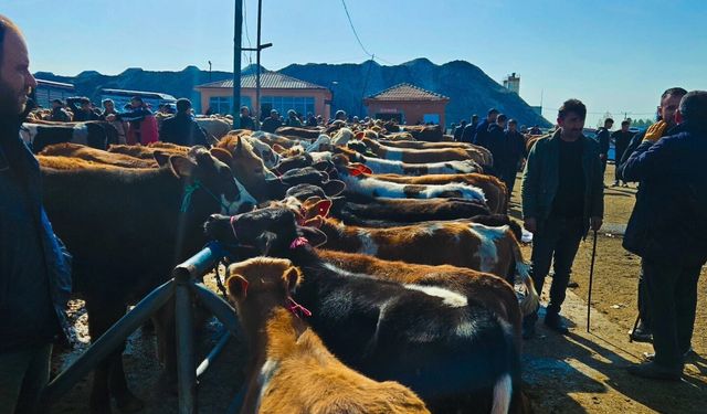 Yozgat’ta Kurban Pazarı Canlandı: Sorgun’da Yoğunluk Artıyor