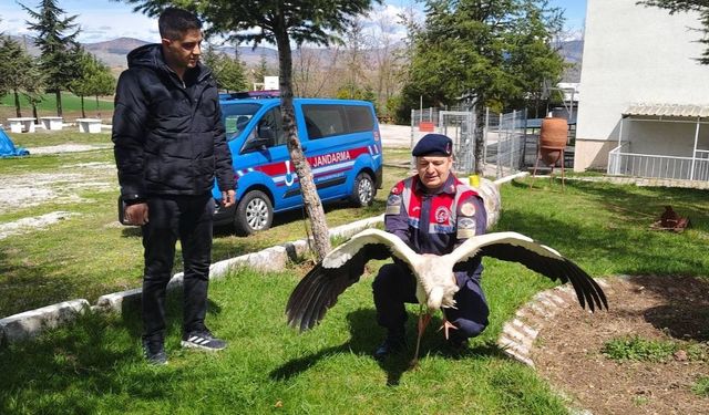 Yozgat’ta Kritik Müdahale: Hasta Leylek İçin Hızlı Seferberlik