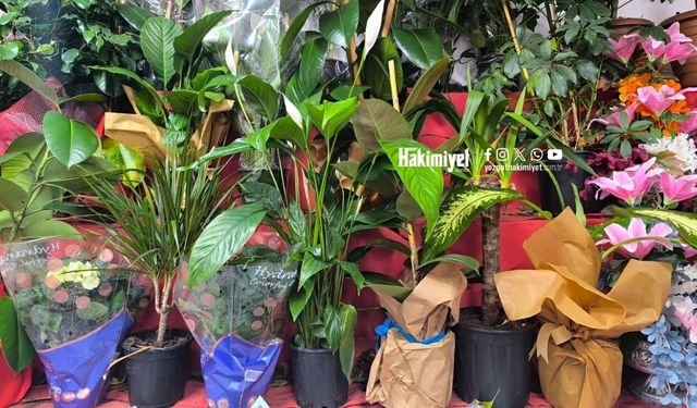 Yozgat’ta Yaz Bitkilerini Canlı Tutmanın Sırları Açıklandı